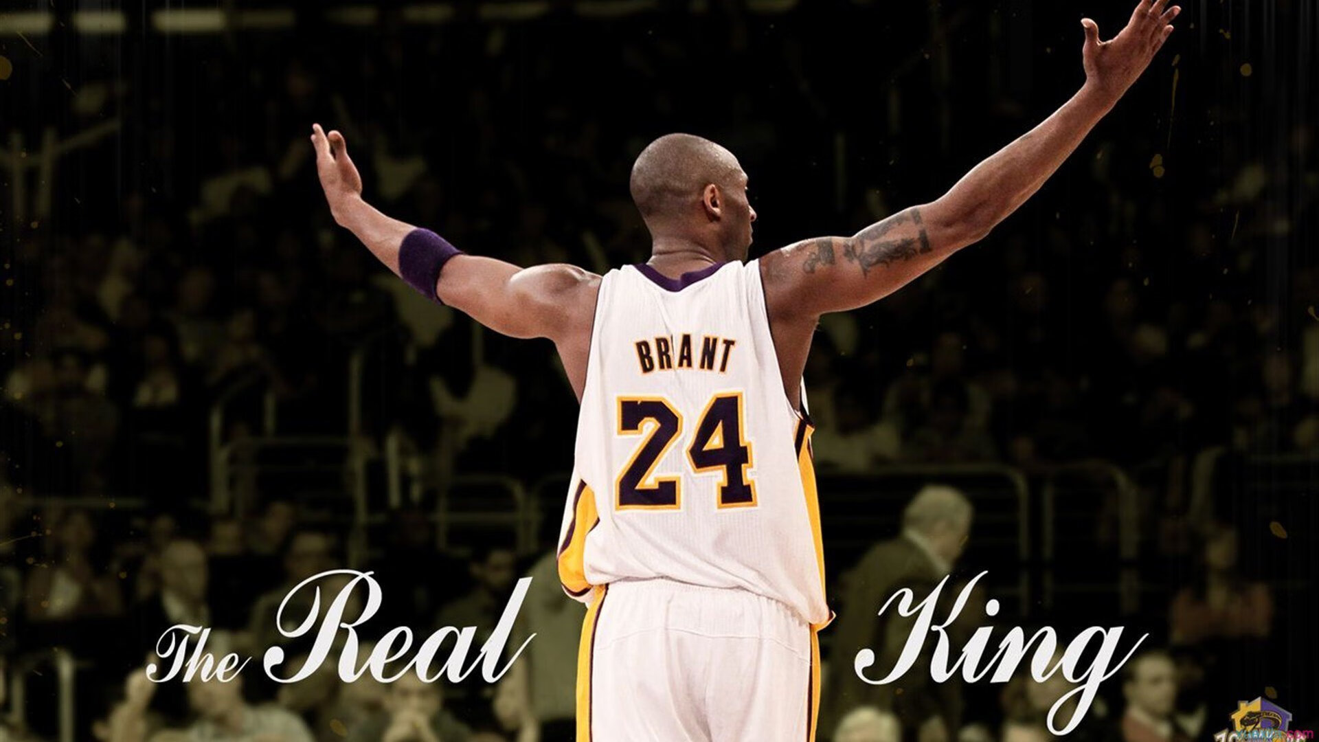 新王登基，威廉姆斯策略制胜，皮亚斯特里闪耀赛道颠覆红牛王朝